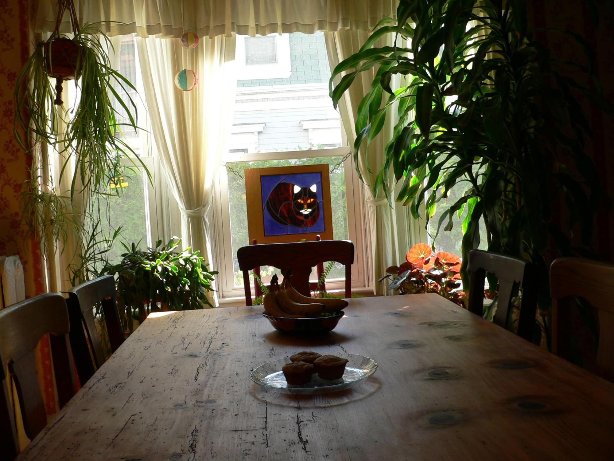 The Morrison House Bed And Breakfast サマービル エクステリア 写真